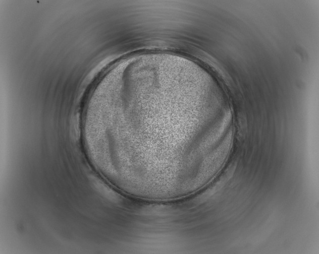 X0000113001075200909101751