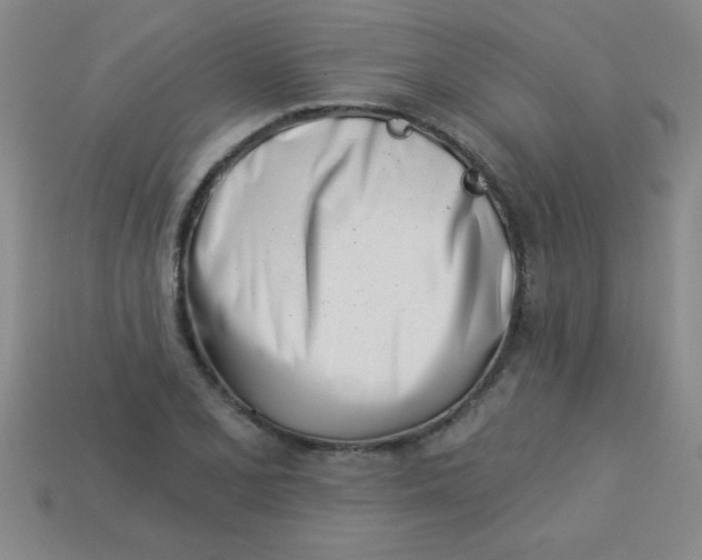 X0000113001077200909101751