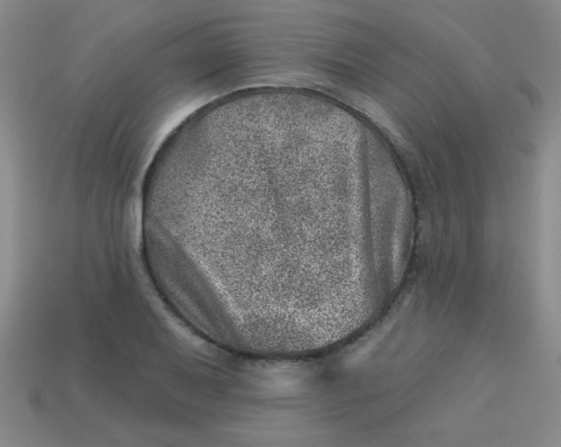 X0000113001079200909101751