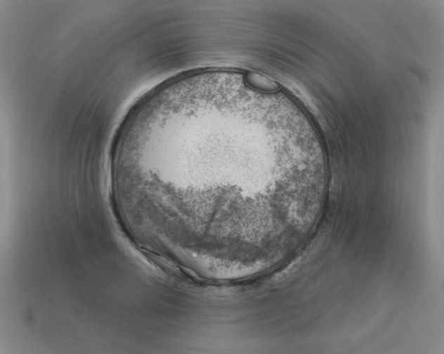 X0000113001080200909101751