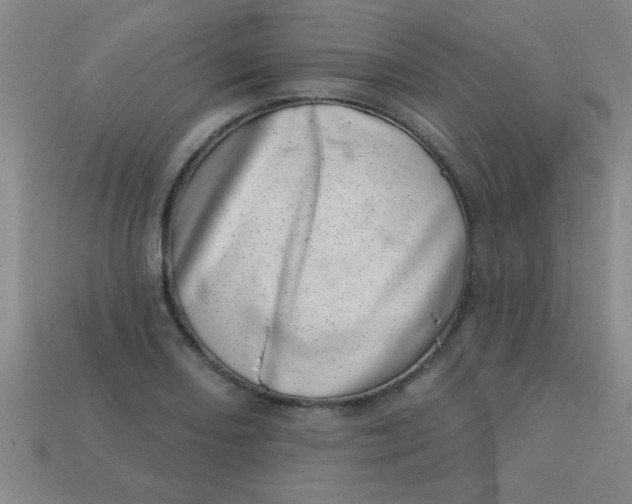 X0000113001082200909101751