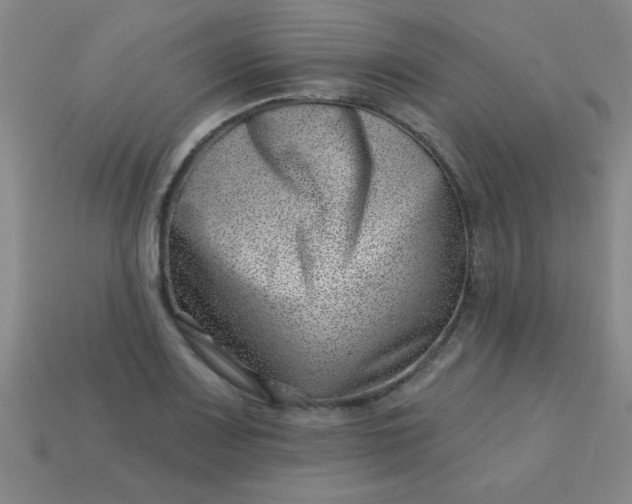 X0000113001083200909101751