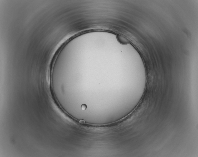 X0000113001084200909101751