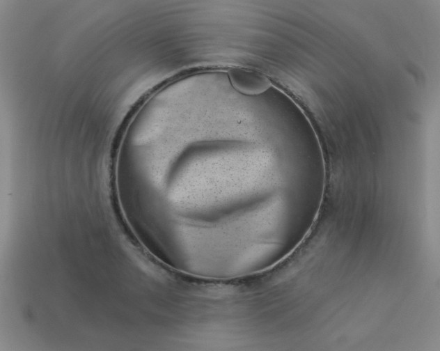 X0000113001085200909101751