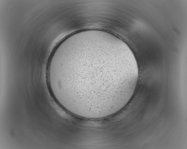 X0000113001086200909101751