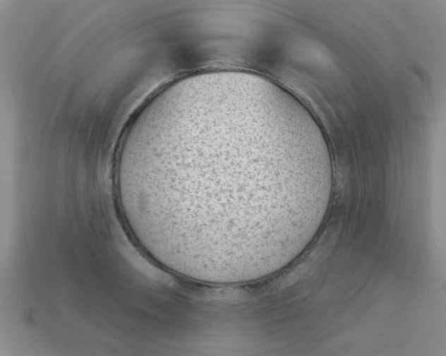 X0000113001090200909101751