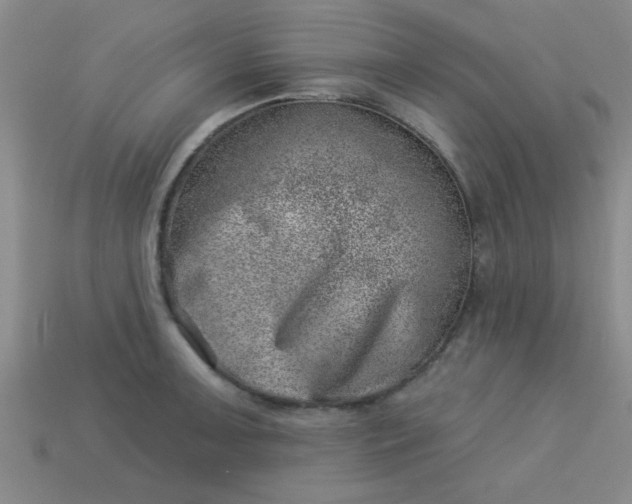 X0000113001091200909101751