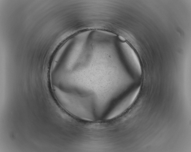 X0000113001093200909101750