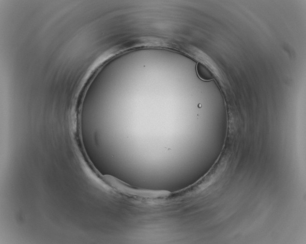 X0000113001095200909101750