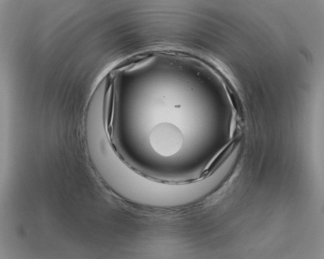 X0000113001097200909101750