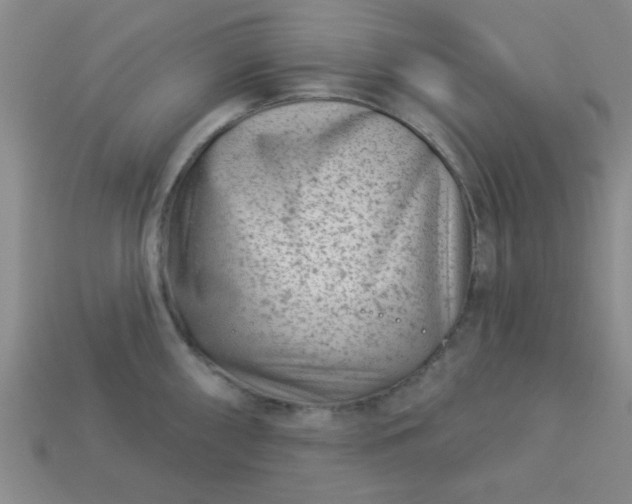 X0000113001098200909101750