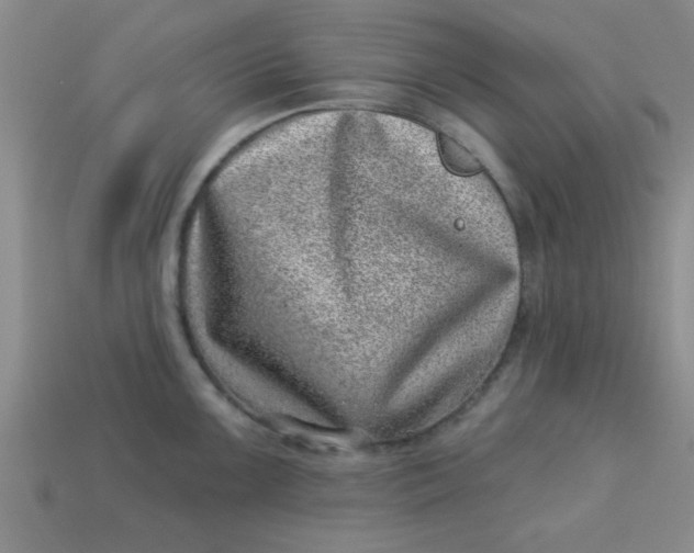 X0000113001099200909101750