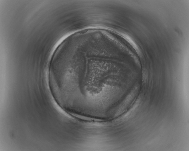 X0000113001100200909101750