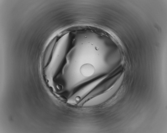 X0000113001101200909101750