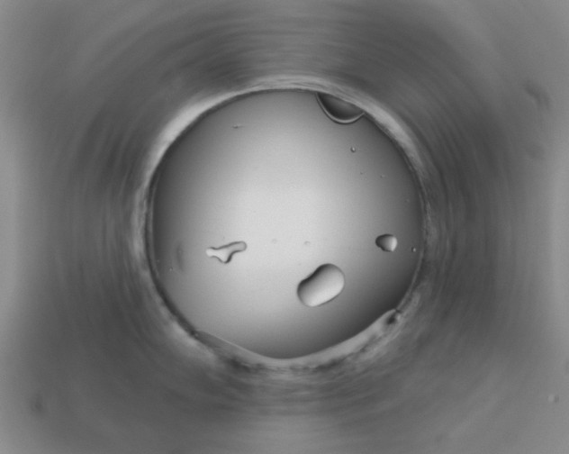 X0000113001102200909101750