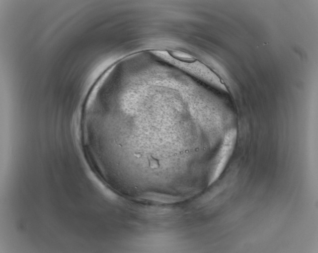 X0000113001103200909101750