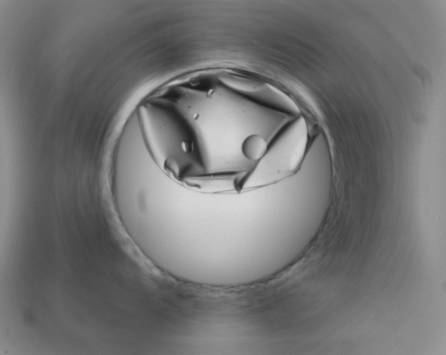 X0000113001104200909101750