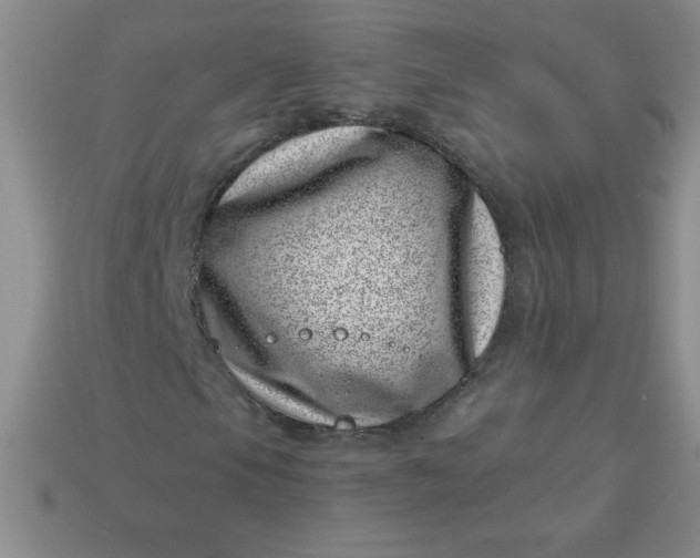 X0000113001105200909101750