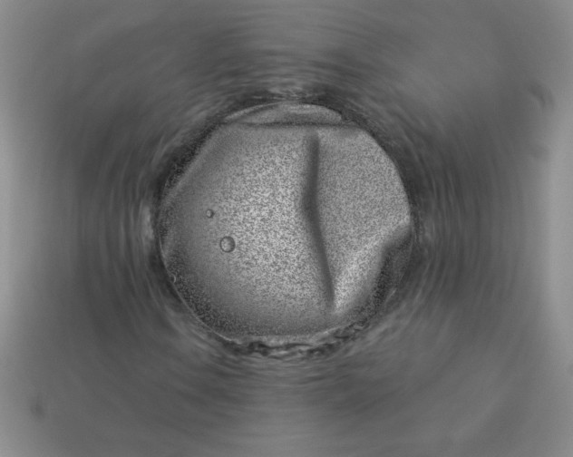 X0000113001106200909101750