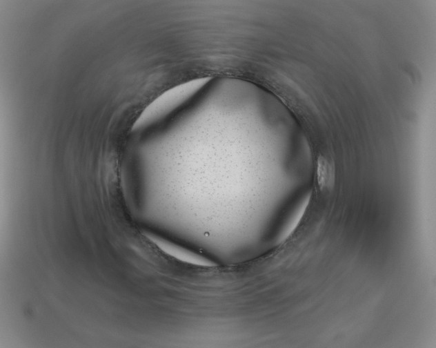 X0000113001107200909101750