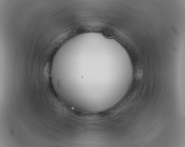 X0000113001108200909101750