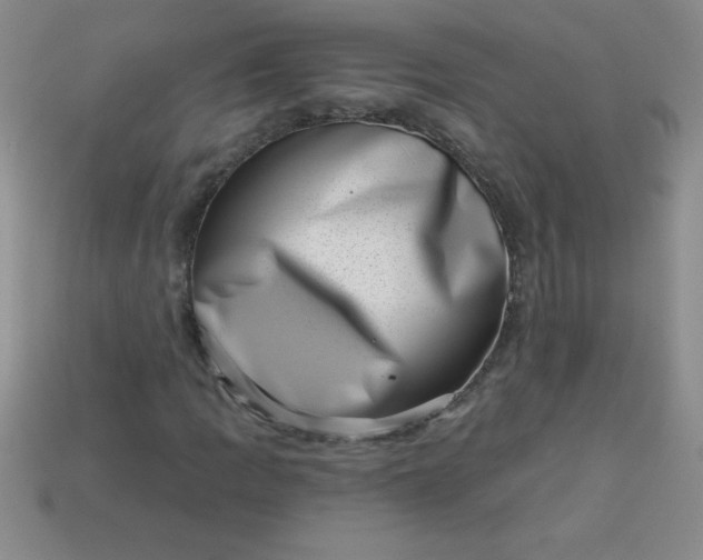 X0000113001109200909101750