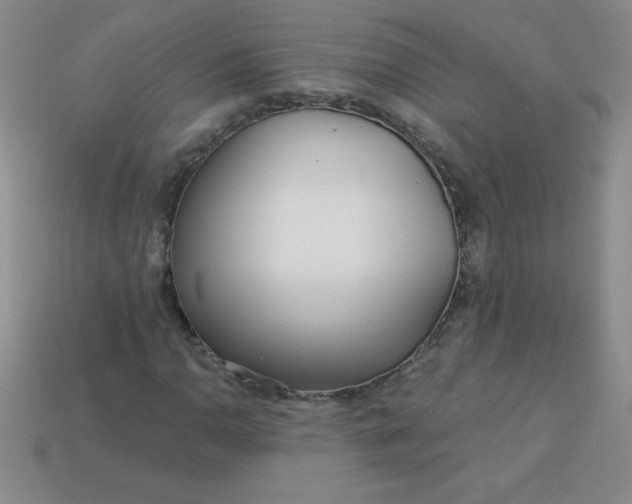 X0000113001110200909101750