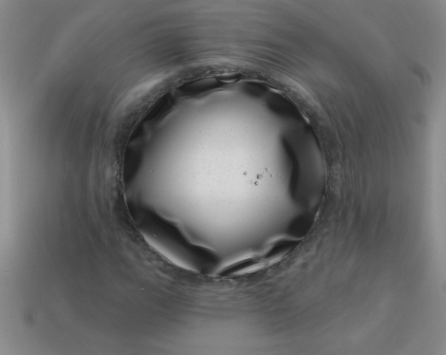 X0000113001111200909101750