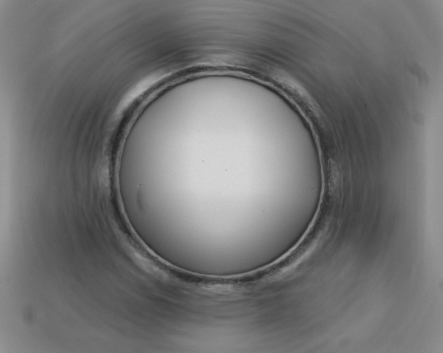 X0000113001114200909101750