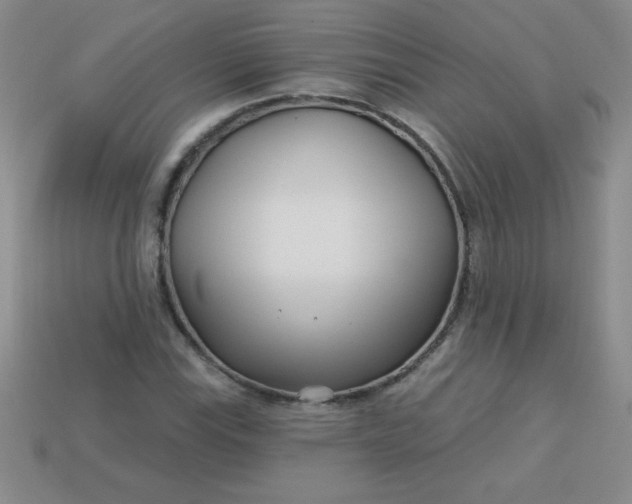 X0000113001115200909101750