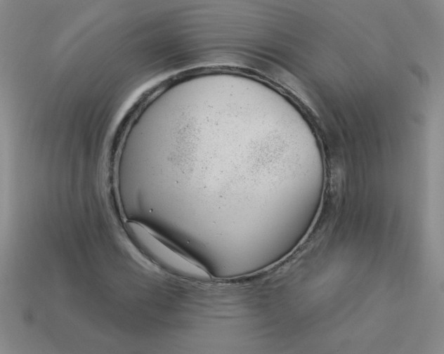 X0000113001116200909101750