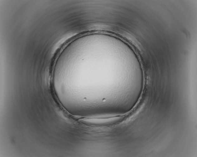 X0000113001117200909101750