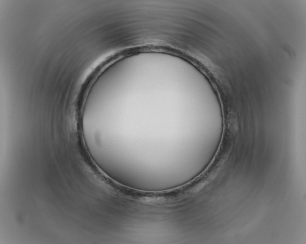 X0000113001118200909101750