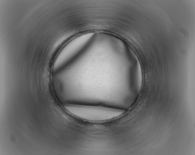 X0000113001119200909101750