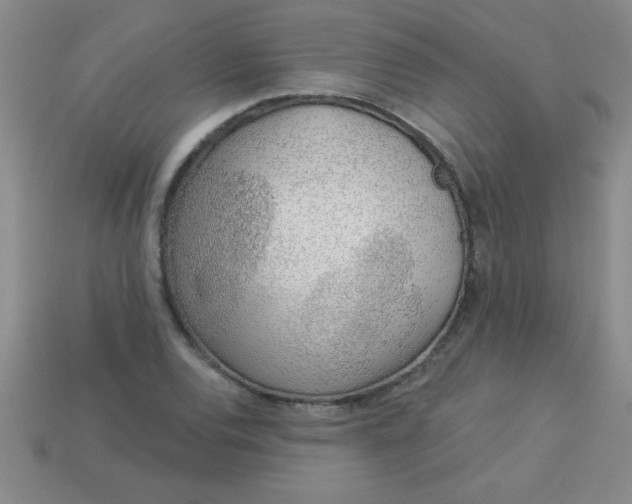 X0000113001120200909101750