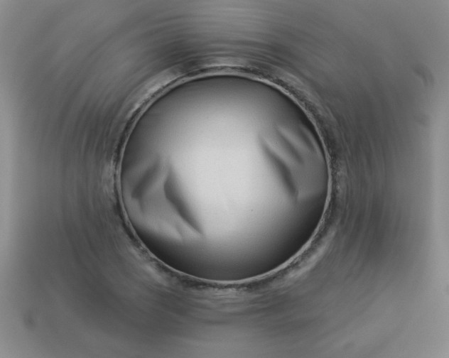 X0000113001121200909101750