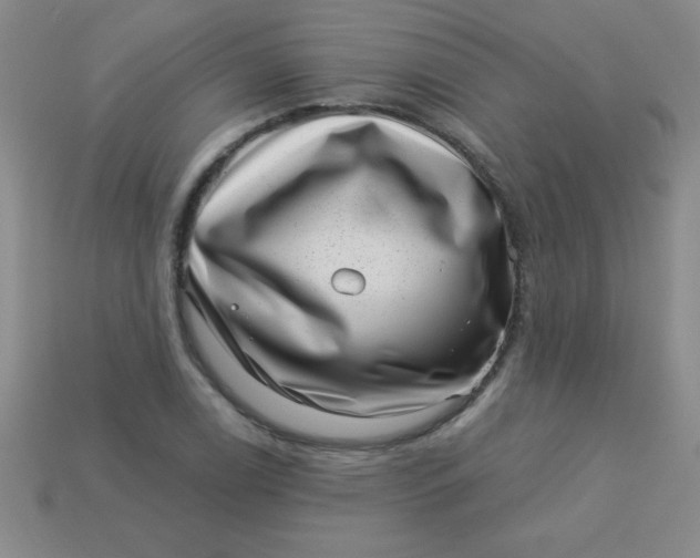 X0000113001122200909101750