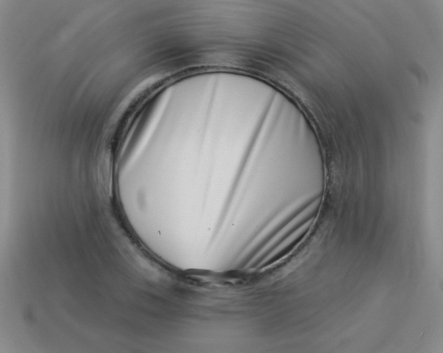 X0000113001123200909101750