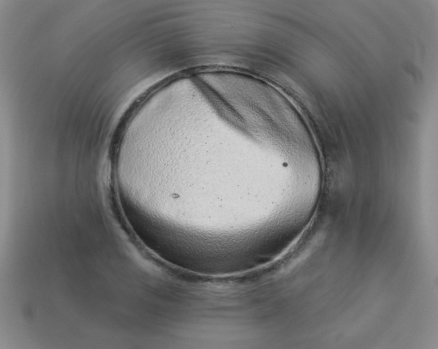 X0000113001125200909101750