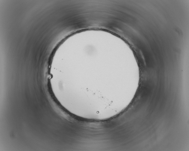 X0000113001126200909101750