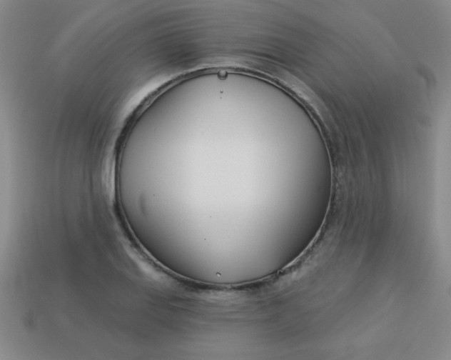 X0000113001127200909101750