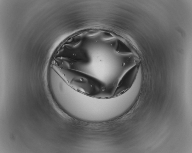 X0000113001128200909101750