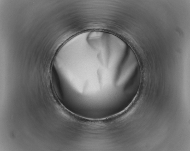 X0000113001129200909101750