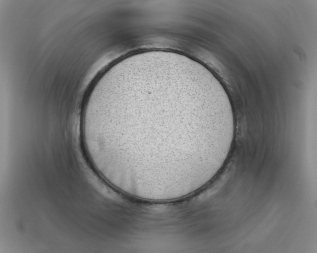 X0000113001130200909101750