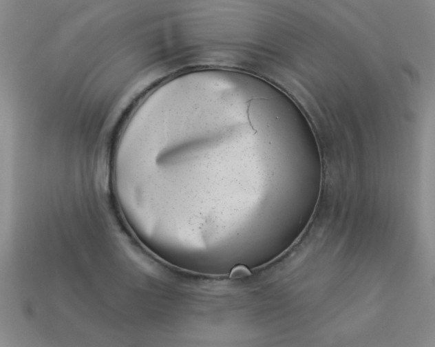 X0000113001131200909101750