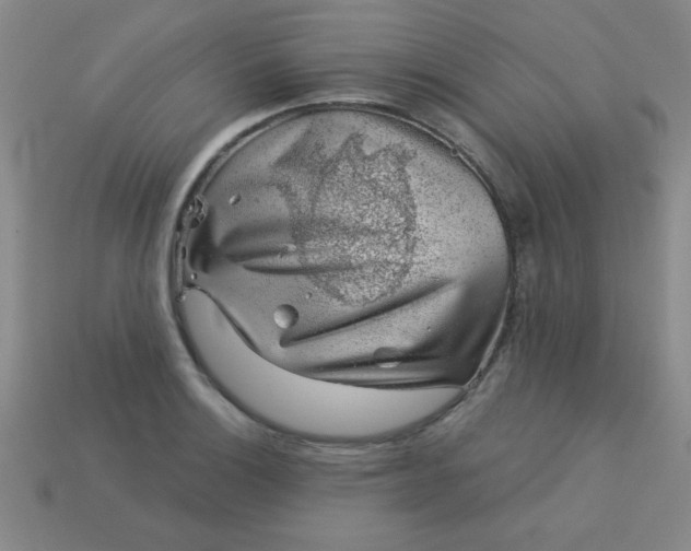 X0000113001132200909101750