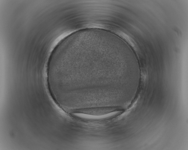 X0000113001133200909101750