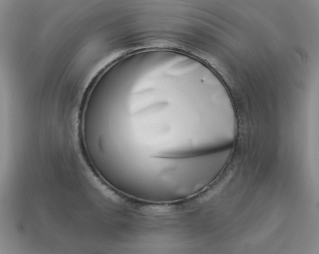 X0000113001134200909101750