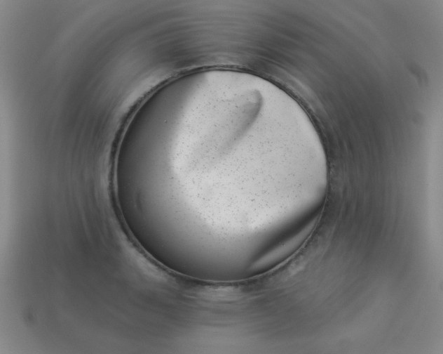 X0000113001135200909101750