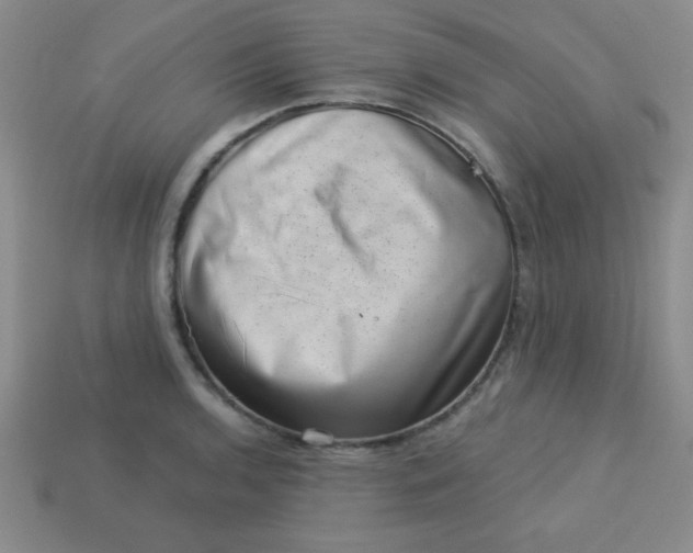 X0000113001136200909101750